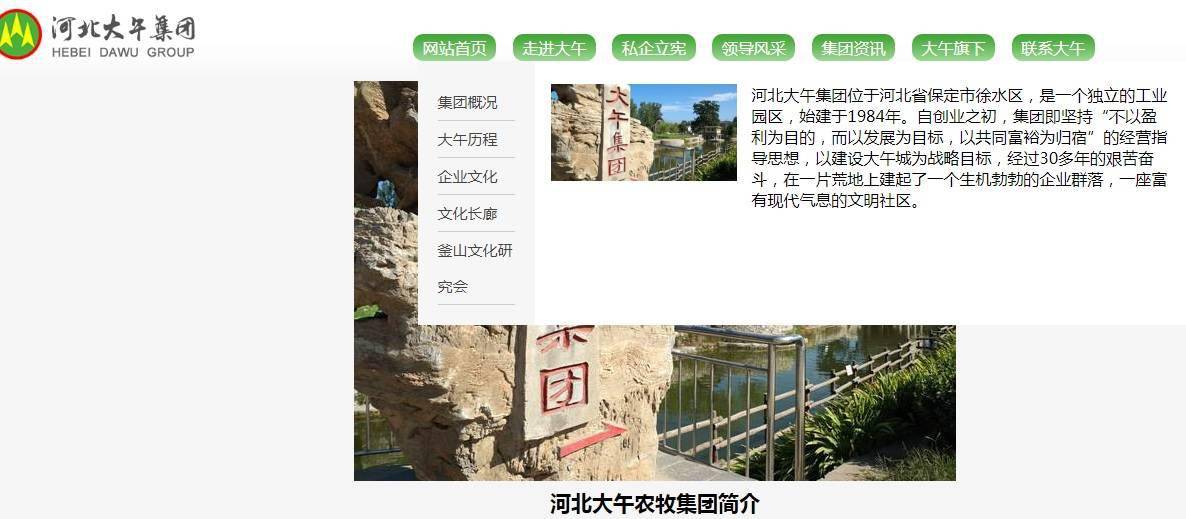 河北|孙大午被采取刑事强制措施！曾是养鸡状元，创立大午集团