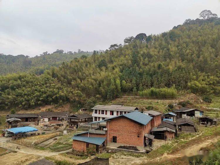 永安大秀峰:海拔约1300,高山巅峰之地, 龙脉雄伟,灵秀壮观!_上坪乡