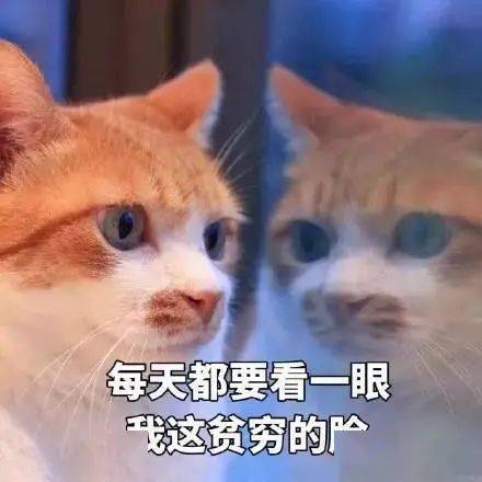 怎么控制情绪 保持冷静 e0859de9f610466ea46c7d20b629c96b.jpeg