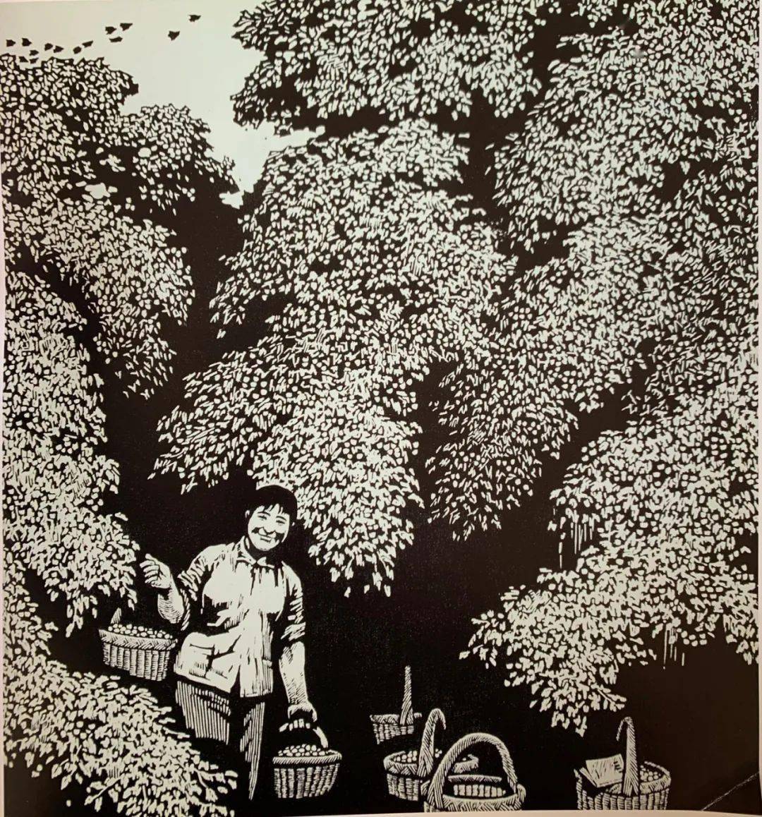 《丰收在望》 版画 38cm×74cm