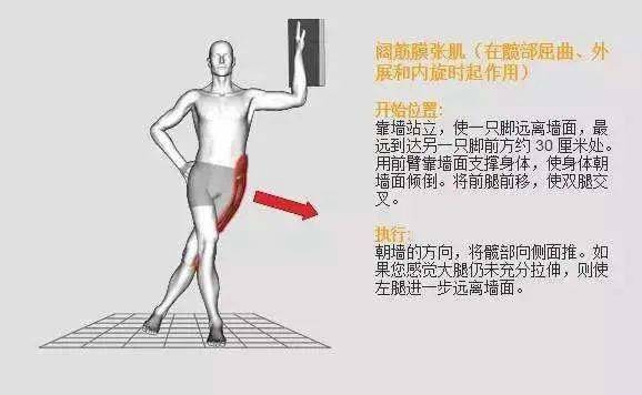 康复手法 1,  主动放松 使用泡沫轴对阔筋膜张肌进行主动分离放松