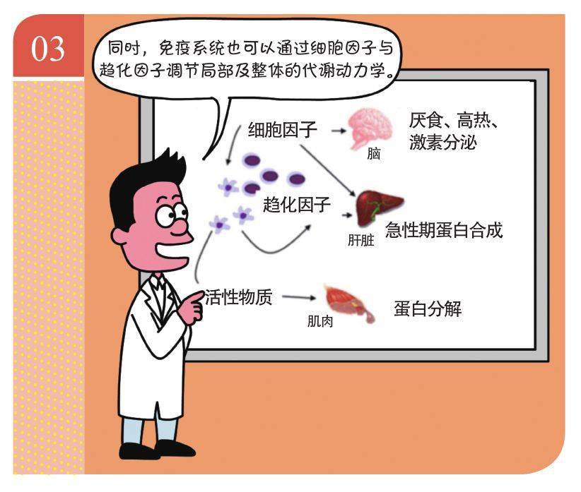 免疫力|老人可以通过输血提高免疫力吗？