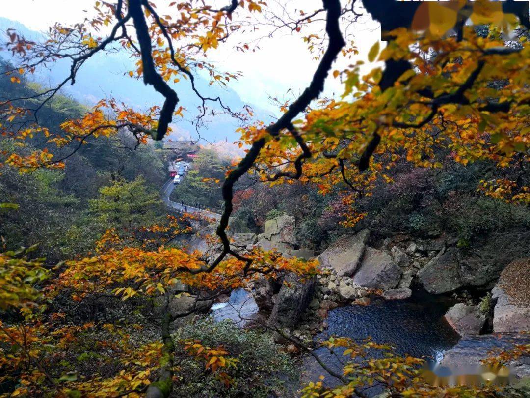 火火火:央视报道彝良小草坝秋景