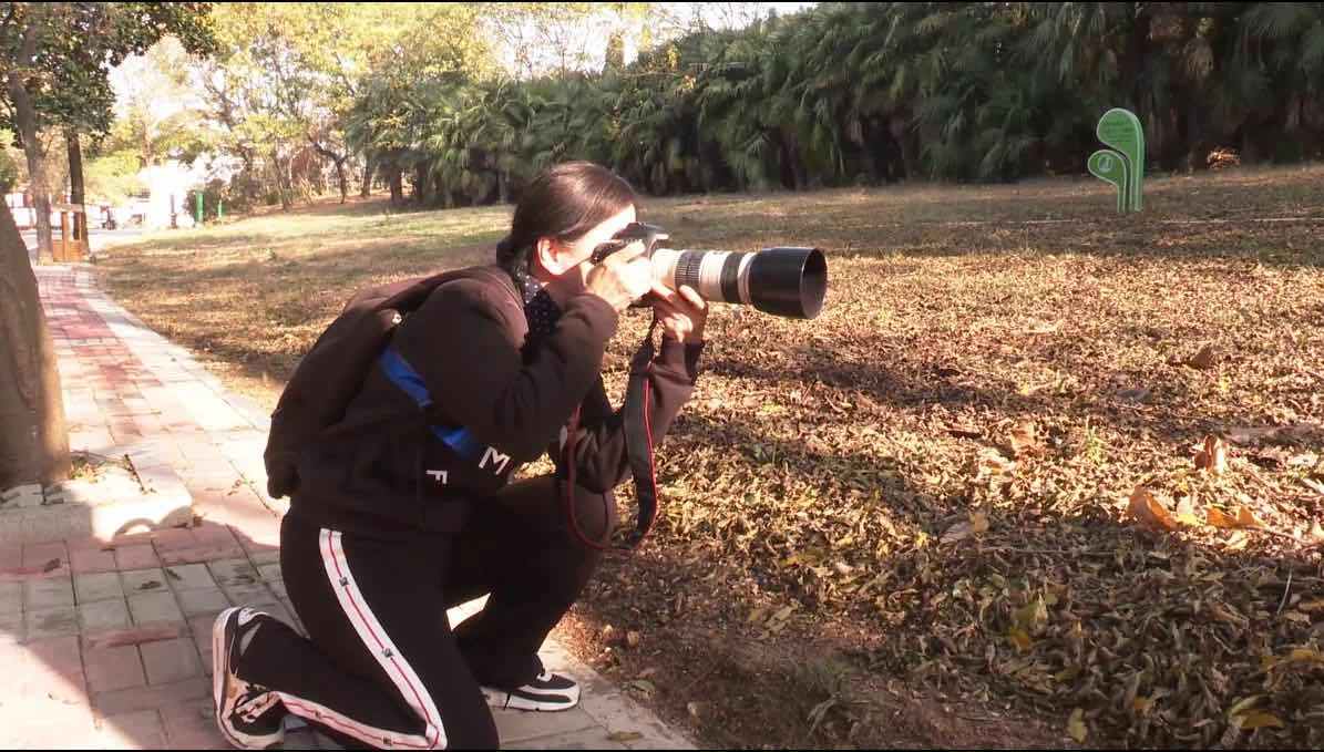 淮南|淮南八公山：为什么镜头都对准了这儿