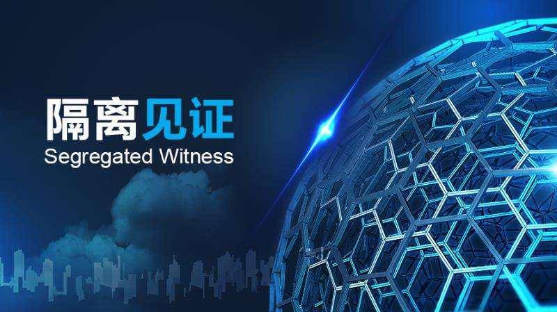 熊猫人科普：什么是隔离见证