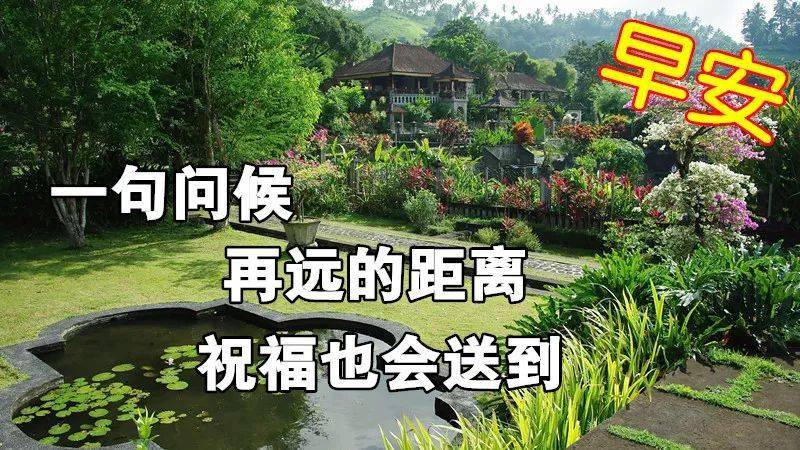 漂亮的早安问候表情图片 早上好发朋友圈动态祝福图片