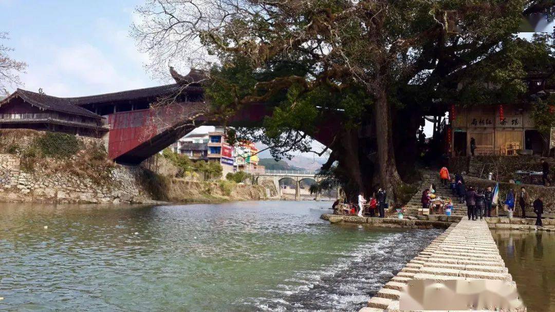 秋天到了相约泰顺赏红枫泰顺南浦溪景区白鹤山庄三滩大岗岭红枫古道