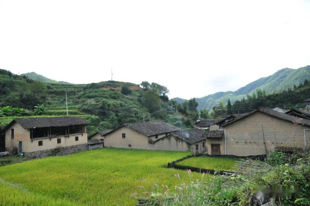 访村寻叶福建浦城县古楼乡叶家山村