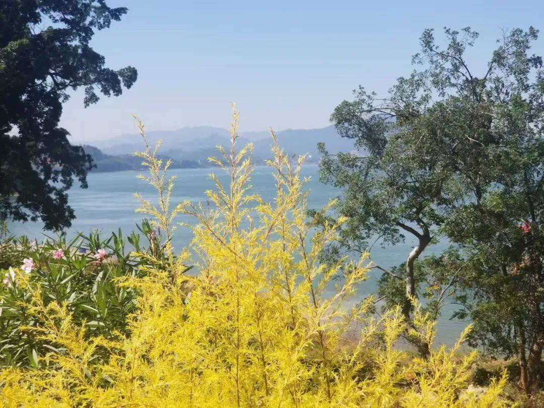 云浮市|西江边上，那些传奇……