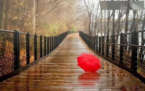 雨落心桥，解读梦中已故亲人持破伞之谜