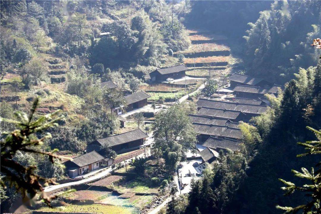 孝溪乡中心村:发展产业富民增收 夯实乡村振兴基础