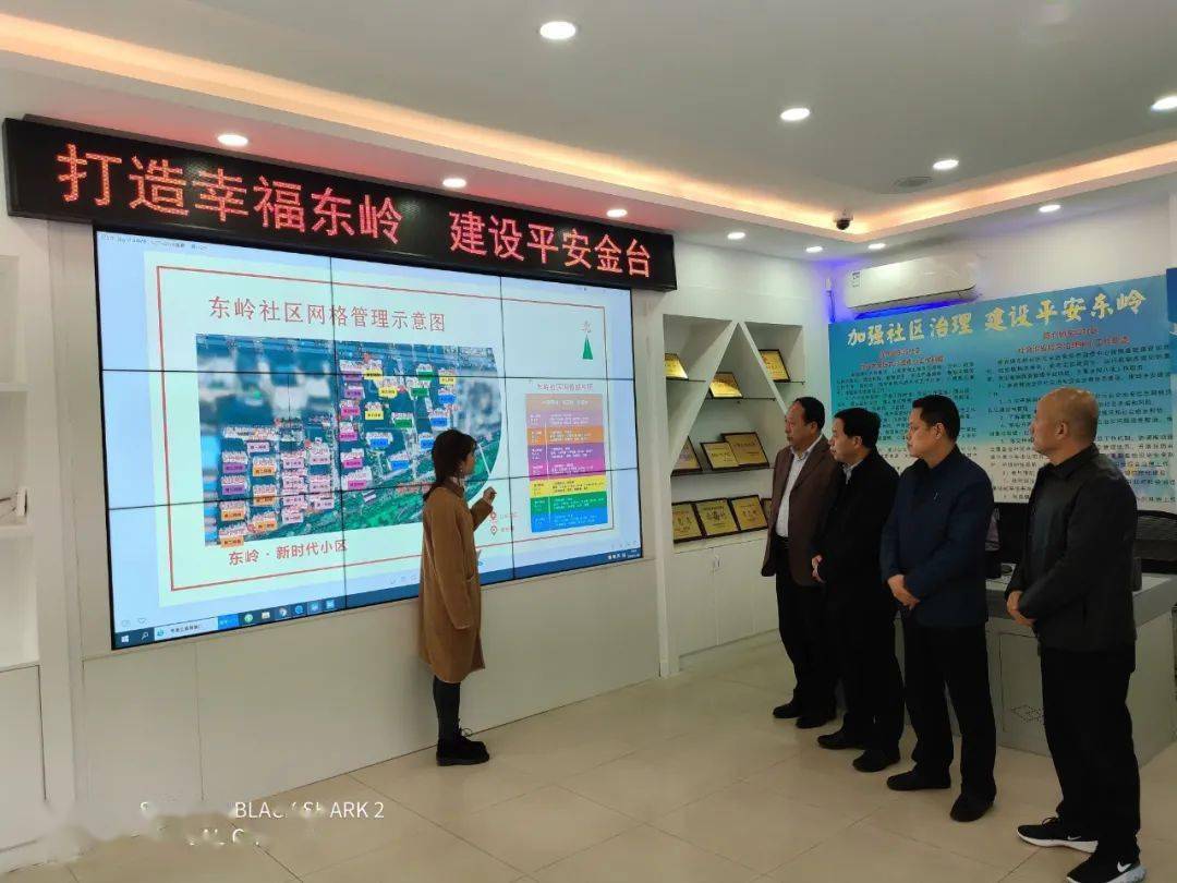 推动"五治融合" 建设平安东岭