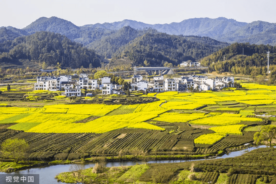 武宣县乡村人口_武宣县中学图片