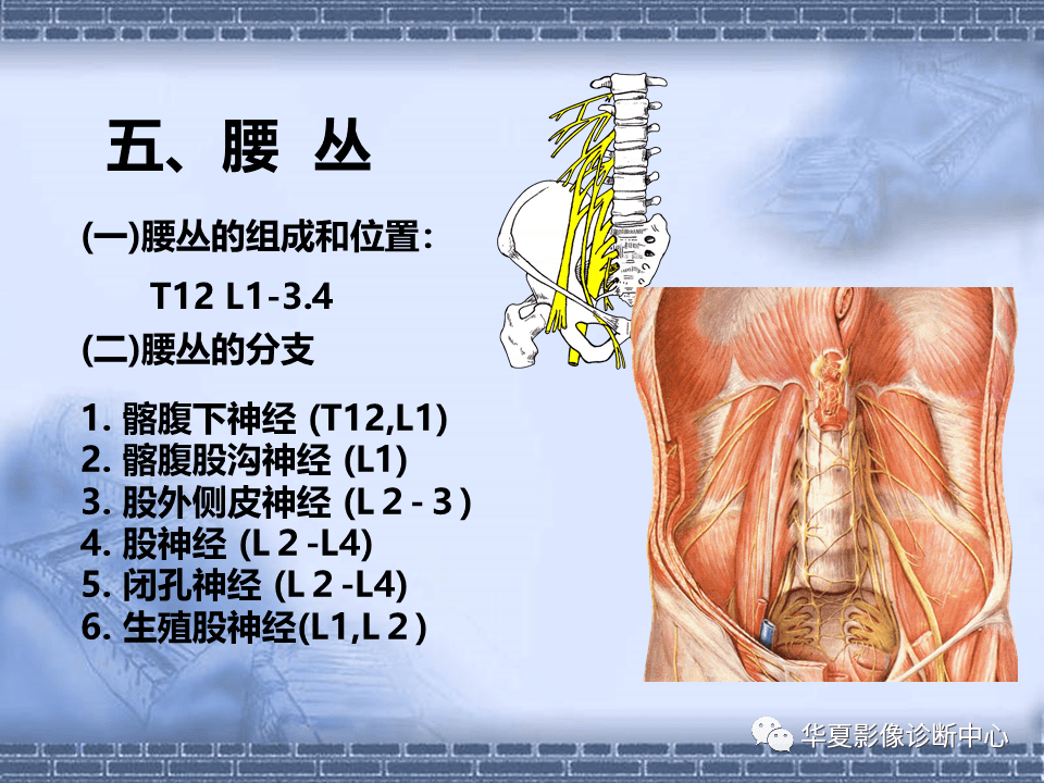 颈椎腰椎ct常见病变