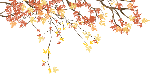 11月21日周六收水稻 打稻谷 挖地瓜 打糍粑 舞龙庆丰收活动开始报名啦 费用