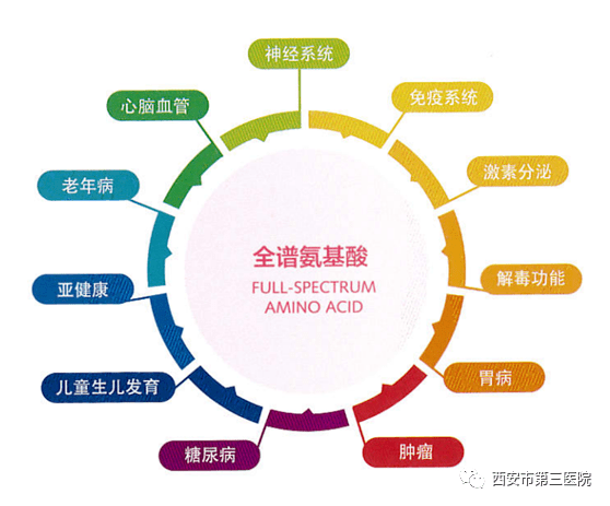 f345fafced374fc8a85fbe1e242275d3.png
