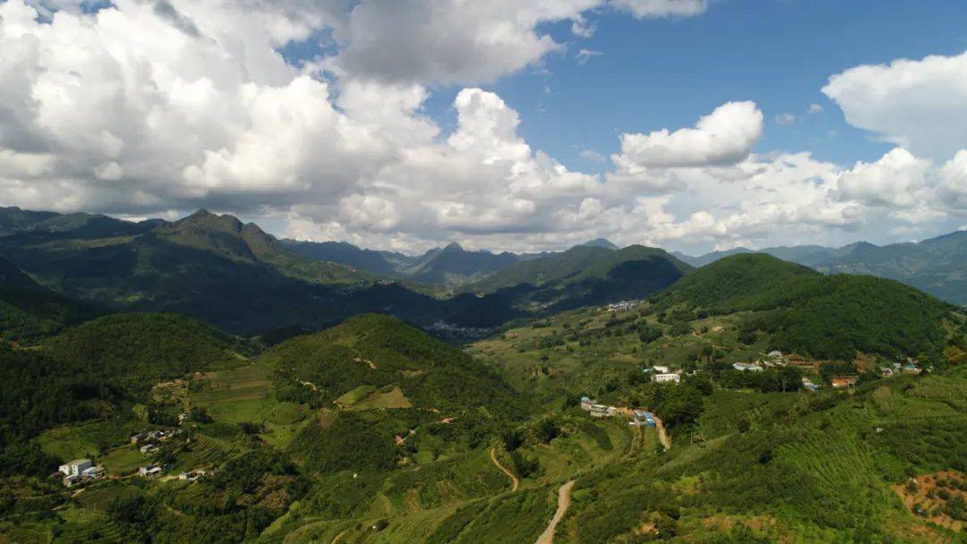 2020云南茶山纸牌屋(临沧,普洱,保山,大理.