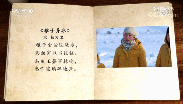 成语文什么书_语文书