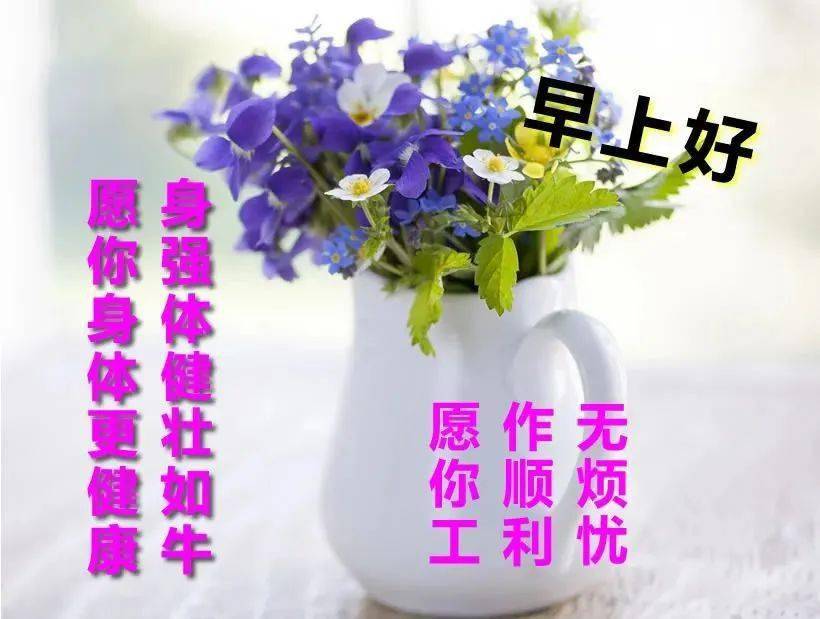 中午好!晚上好!也不如这条祝福心语好!