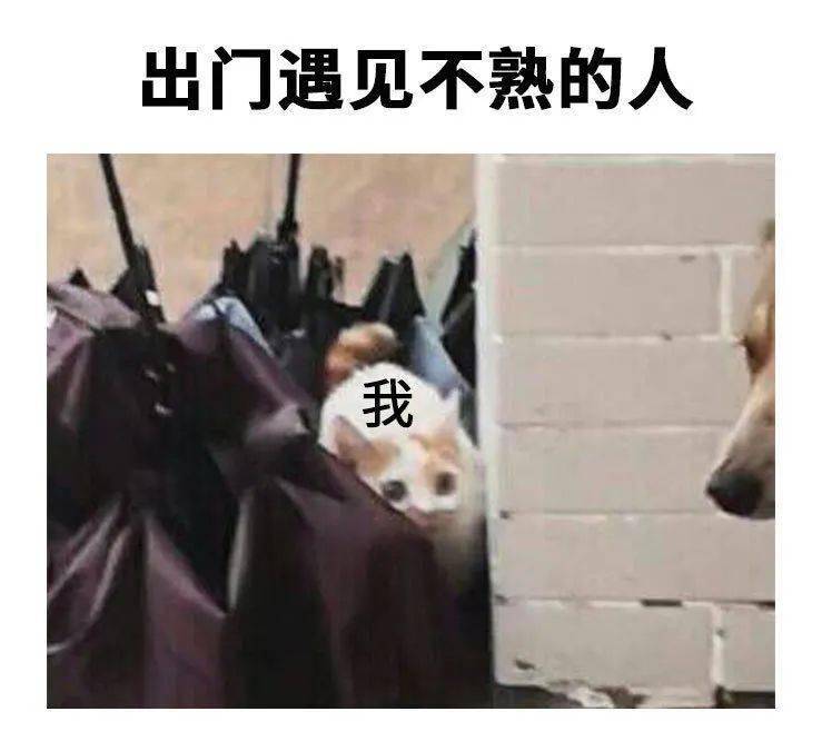 社恐:"生而为人,不想见人"