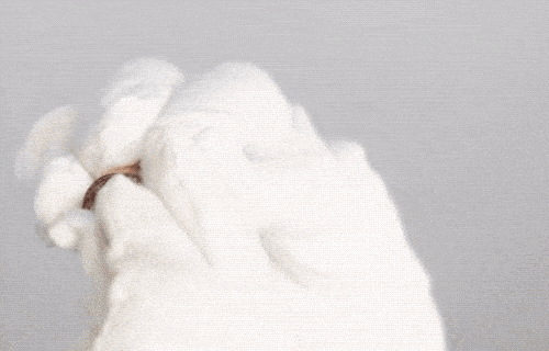 Lisa|口红也有vintage？看来口红比主人活得久……