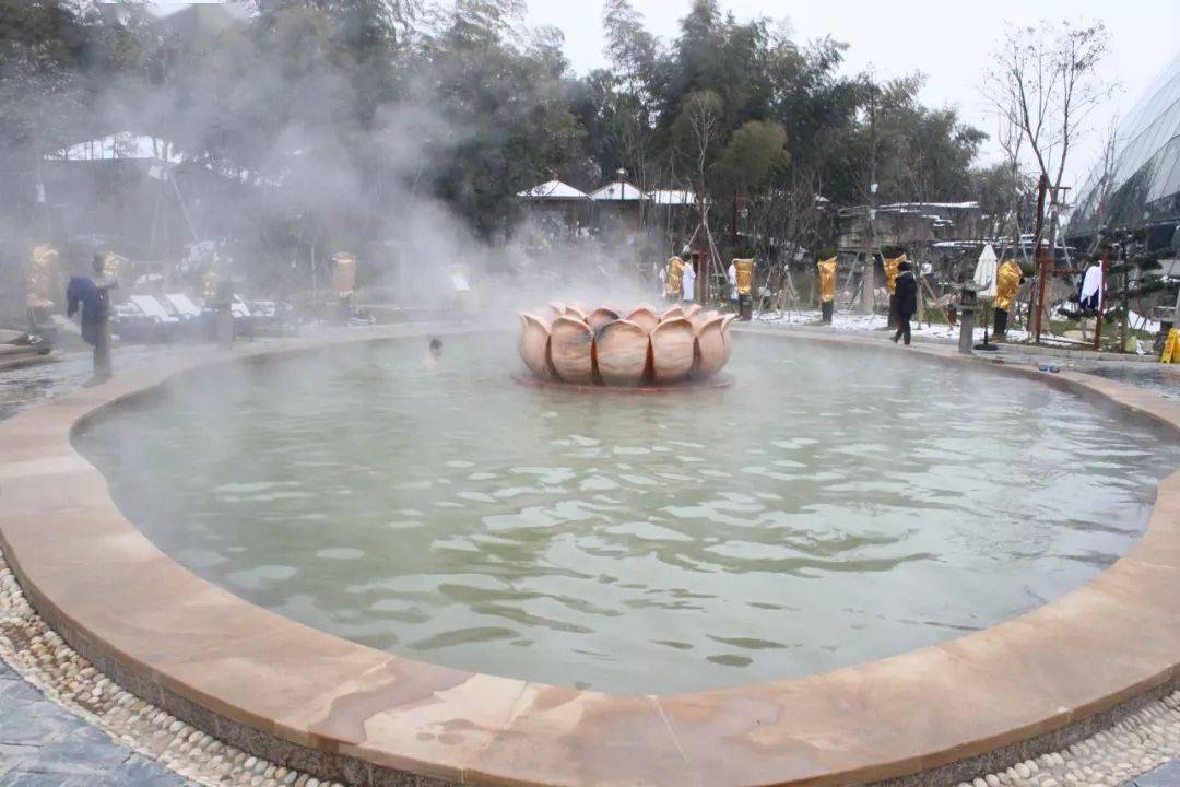 11月20日首发:湖北洪湖悦兮温泉 金湾花海纯玩一日游 148元/人