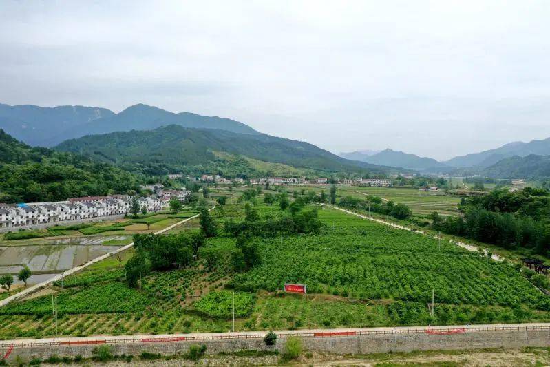 今日英山石头咀镇一村一景打造生态宜居家园
