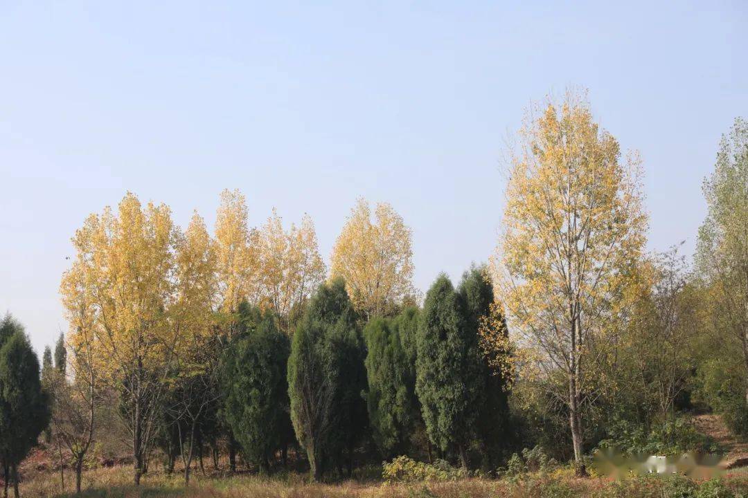 肥田山岭之韵秋重色愈浓