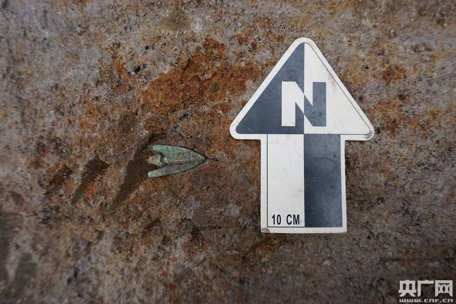 遗址|宁波发现东周时期文化遗址 出土文物佐证此地曾参与吴越争霸