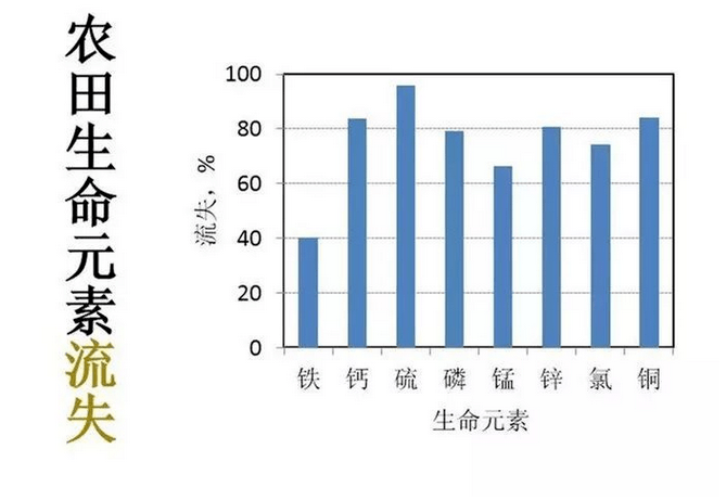 美国六分之一人口缺少食物_美国人口种族分布图