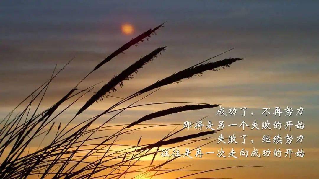 莫佛系,存凌云志,成就辉煌人生!