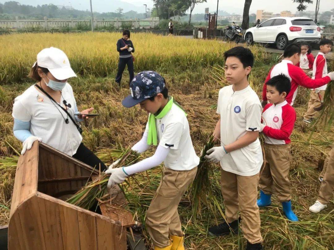 "农耕体验 素养提升"大布小学新时代劳动教育活动