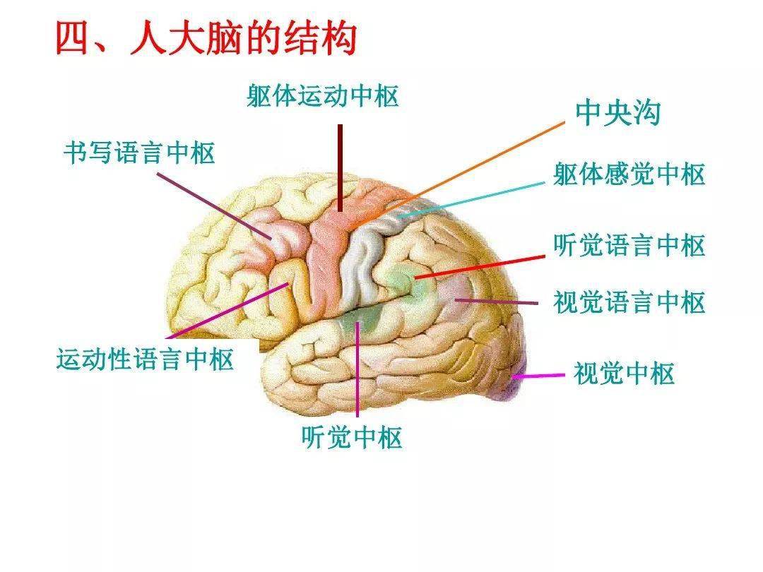 54abd41d6d9b4c06b060a219411009a3.jpeg