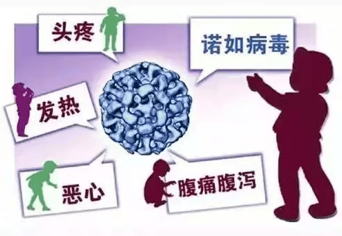 a917063a12204e8d99a75863e7e92506.png