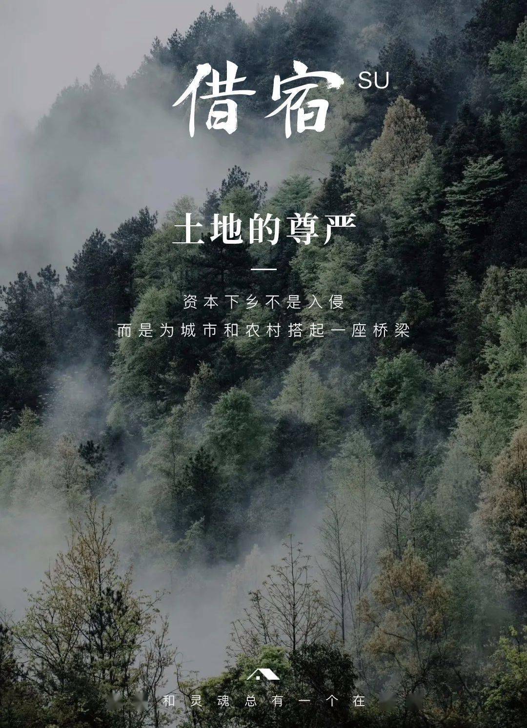 为给女友一场浪漫婚礼，机车大叔4年驻守深山，种出300亩格桑花，礼堂还没建完，先复活了百年古村