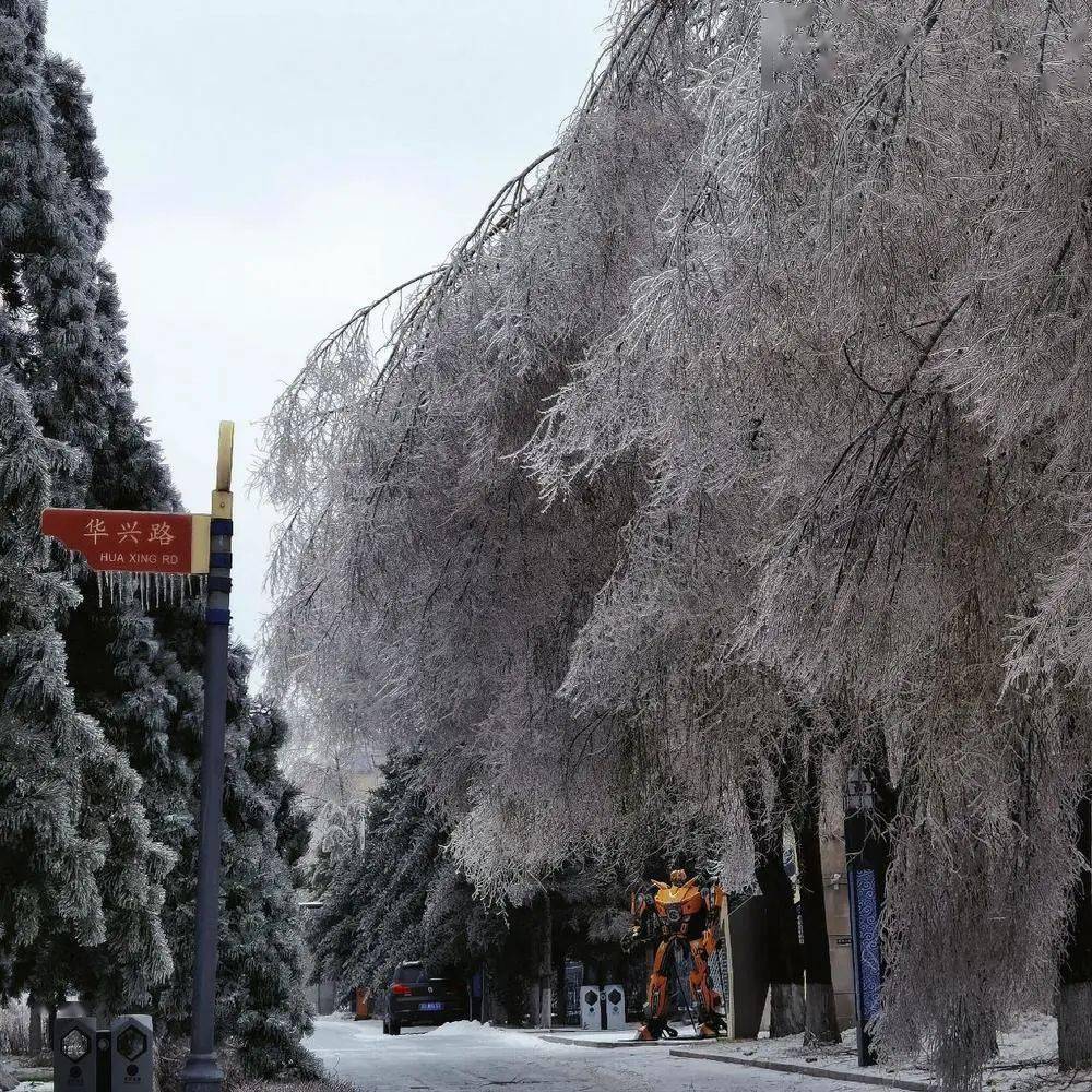 水晶光华,春赏百花冬观雪