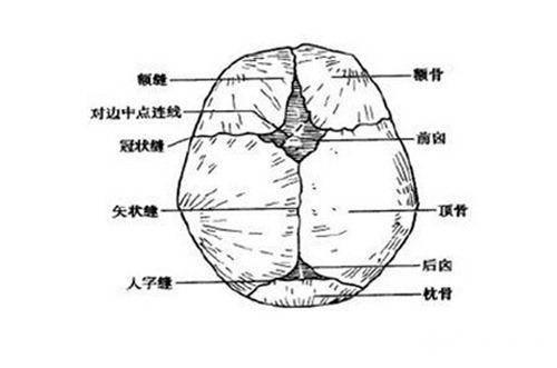 儿童|乳牙萌出延迟……这些儿童常见问题，都不是病枕秃