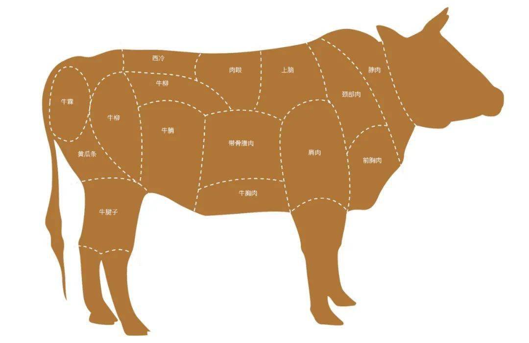 吃货们看过来,贵州黄牛各部位的吃法…… 牛胸肉是位于牛胸口两肢前腿