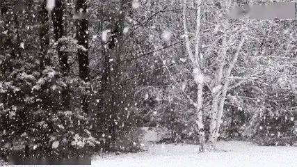 奈曼今天有雪吗 ca7b6ab922b345a98bf4e852a81706c9.jpeg