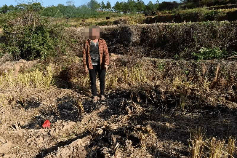 官林镇2020GDP_世界gdp排名2020(3)