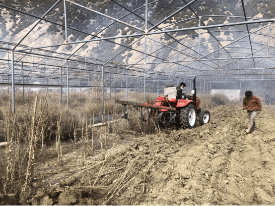 2020安丰GDp_2020年中国gdp(3)