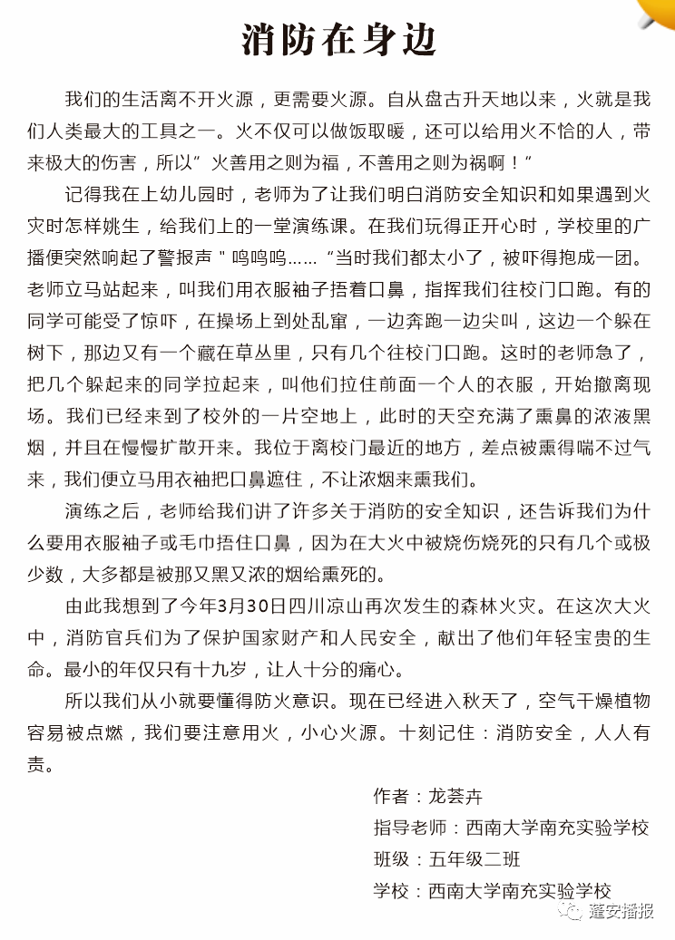 张琴简谱_张琴演员