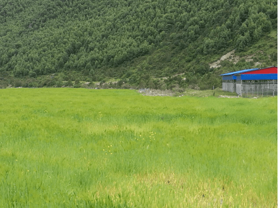 巴铁2020年GDP_近十年中国gdp数据图(3)