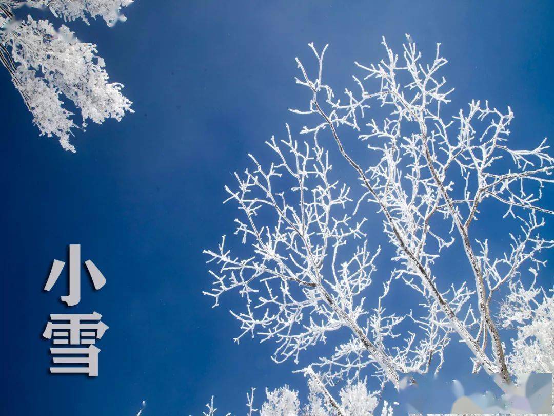 【久经堂养生课堂】小雪三候