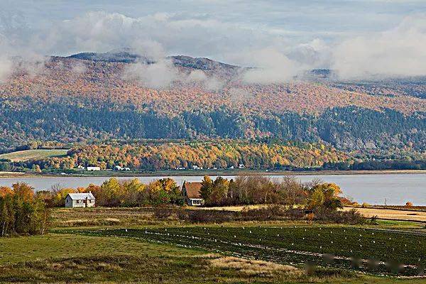 城市排名2020最新排名_最新养老城市新排名来了!排第一的竟是它...