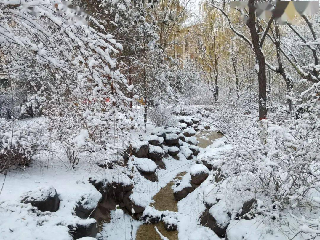 你要的银川雪景,安排上了!