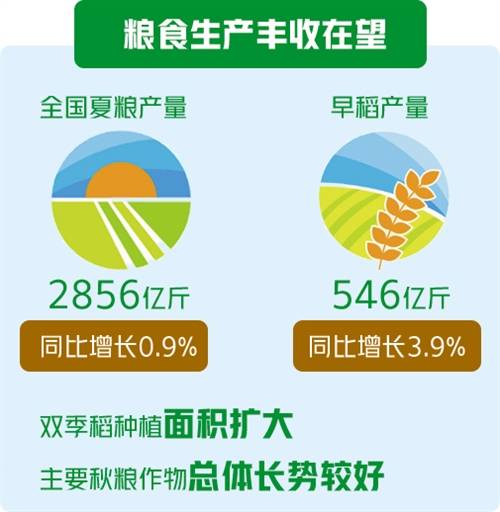 同比|农业经济持续向好 农民收入增长稳定