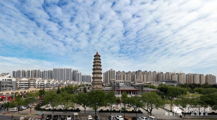 滕州新建龙泉文化广场东部等9处游园新增绿化面积90余万平方米