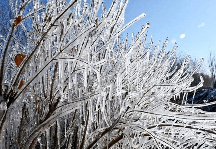 长春雪后现罕见冰挂美景,快收藏,留着慢慢看