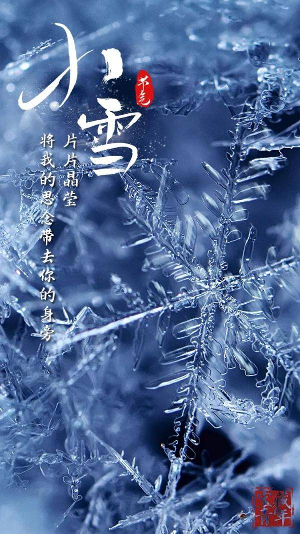 小雪|今日小雪！愿与你共白头......